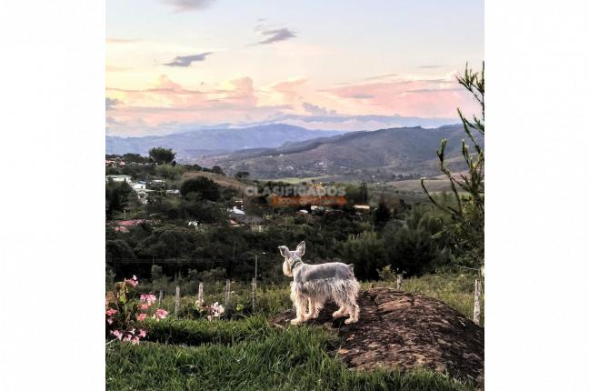 Lotes, Venta, La Cumbre - $320.000.000