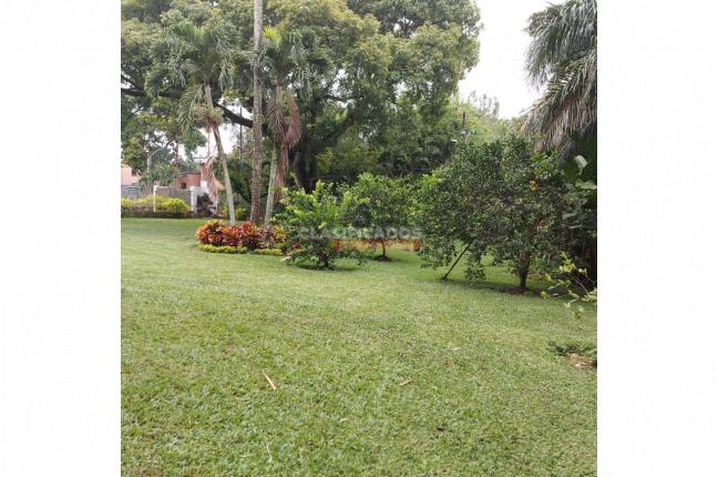 Lotes, Venta, Pance - $1.500.000.000