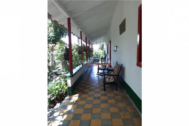 Fincas y Casas Campestres, Venta, Tamesis - $800.000.000