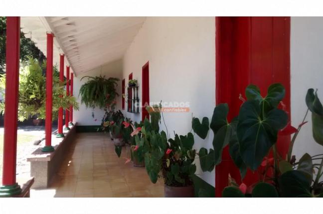 Fincas y Casas Campestres, Venta, Tamesis - $800.000.000