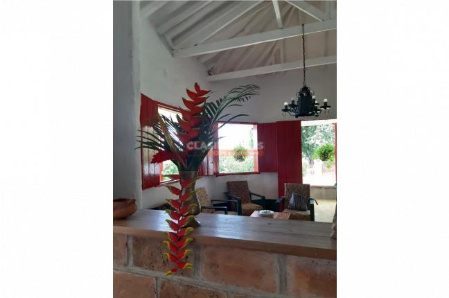 Fincas y Casas Campestres, Venta, Tamesis - $800.000.000