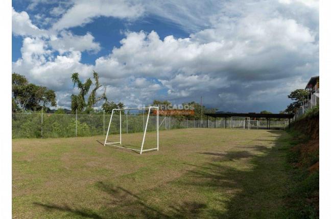 Casas, Venta, Calima (Darién) - $450.000.000