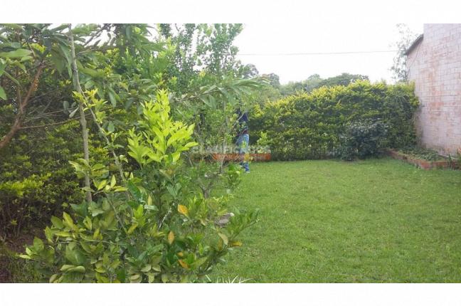 Casas, Venta, Calima (Darién) - $450.000.000