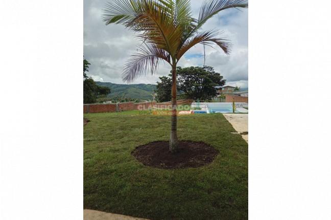 Casas, Venta, Calima (Darién) - $450.000.000