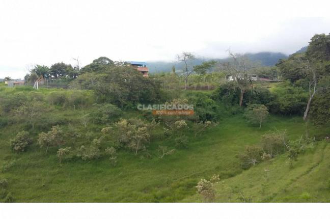 Casas, Venta, Calima (Darién) - $450.000.000