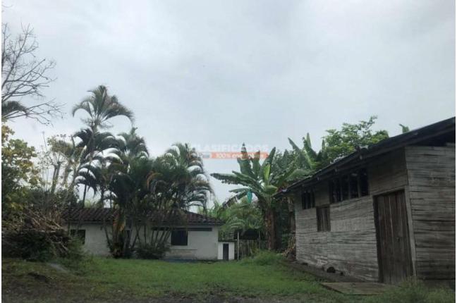 Fincas y Casas Campestres, Venta en Montenegro