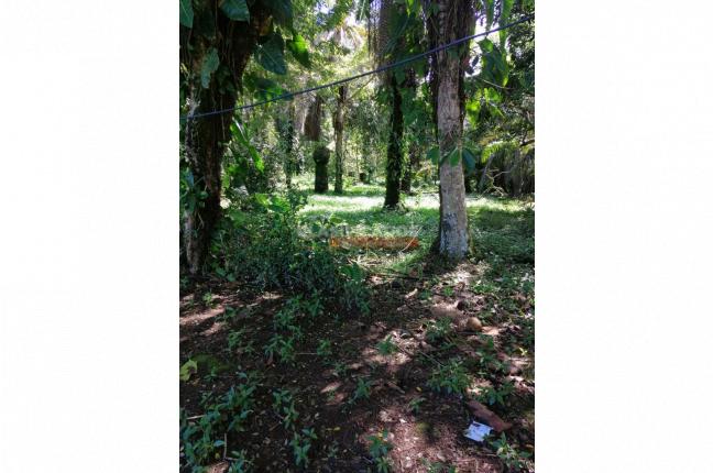 Lotes, Venta, Buenaventura - $420.000.000