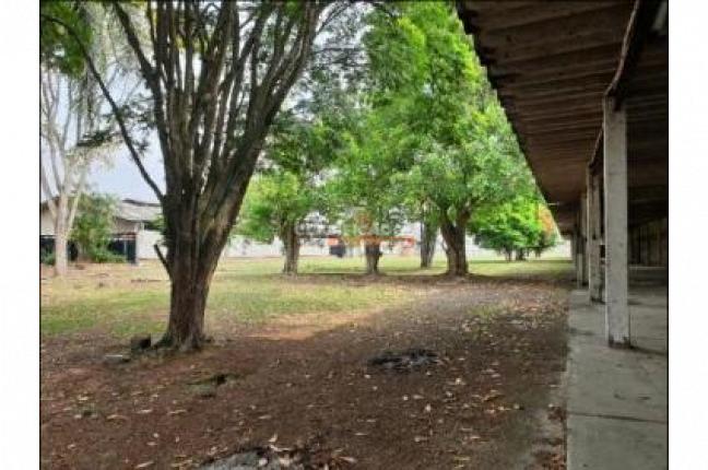 Locales y Bodegas, Alquiler, Palmira