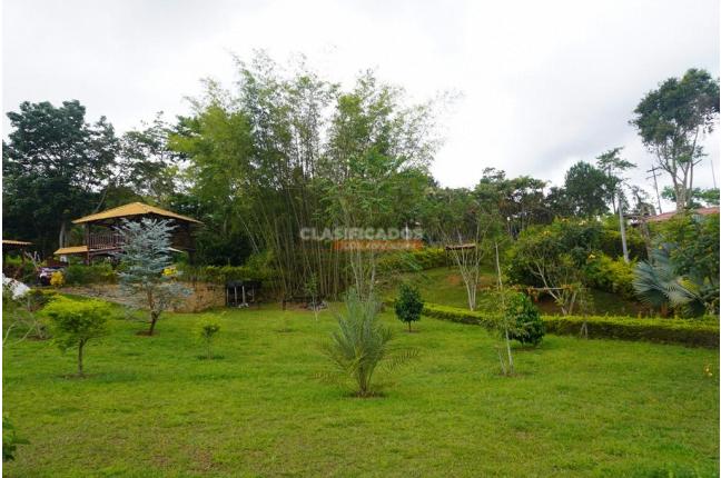 Fincas y Casas Campestres, Venta, Dagua - $695.000.000