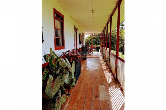 Fincas y Casas Campestres, Venta, Montenegro - $3.200.000.000