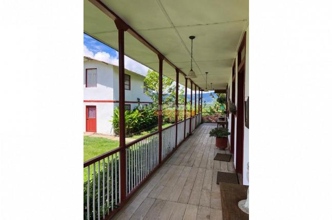 Fincas y Casas Campestres, Venta, Montenegro - $3.200.000.000