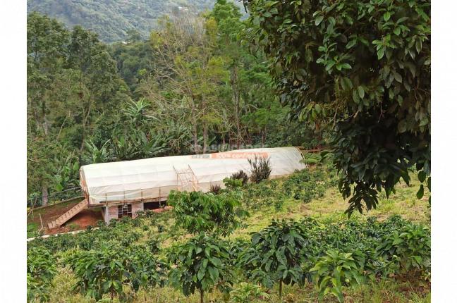 Fincas y Casas Campestres, Venta, La Leonera - $3.500.000.000