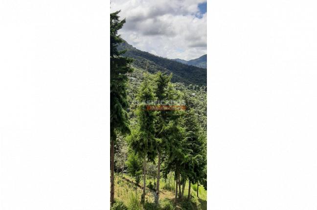 Fincas y Casas Campestres, Venta, La Leonera - $3.500.000.000