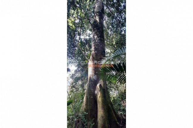 Fincas y Casas Campestres, Venta, La Leonera - $3.500.000.000