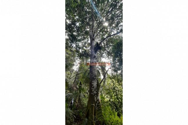 Fincas y Casas Campestres, Venta, La Leonera - $3.500.000.000