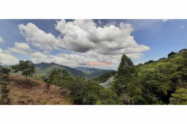 Fincas y Casas Campestres, Venta, La Leonera - $3.500.000.000