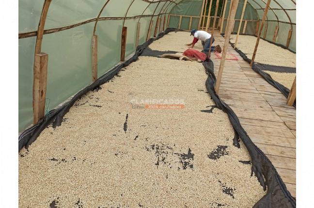 Fincas y Casas Campestres, Venta, La Leonera - $3.500.000.000