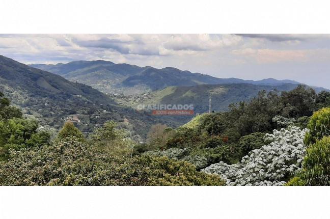 Fincas y Casas Campestres, Venta, La Leonera - $3.500.000.000