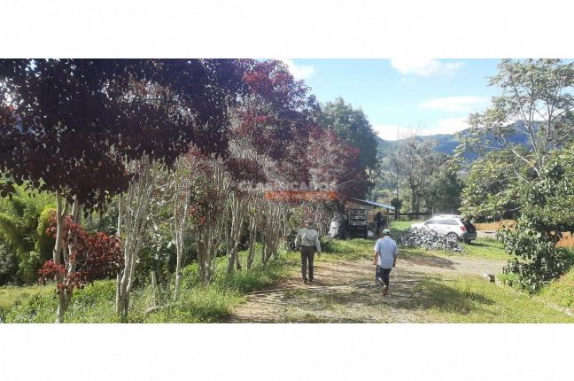 Fincas y Casas Campestres, Venta, La Leonera - $3.500.000.000