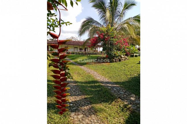 Fincas y Casas Campestres, Venta en Montenegro