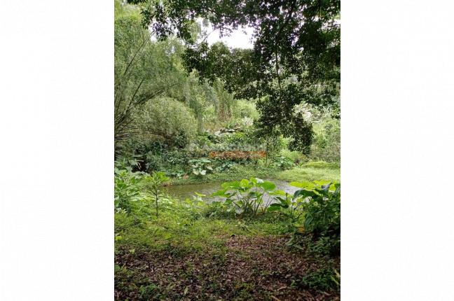 Fincas y Casas Campestres, Venta, Montenegro - $2.200.000.000