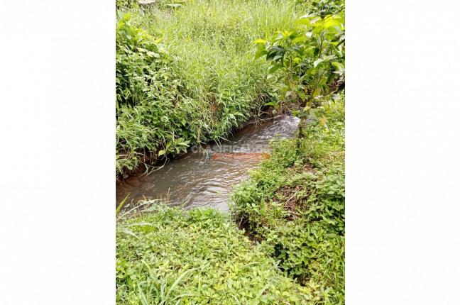 Fincas y Casas Campestres, Venta, Montenegro - $2.200.000.000