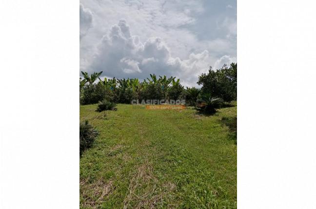 Fincas y Casas Campestres, Venta, Montenegro - $2.200.000.000