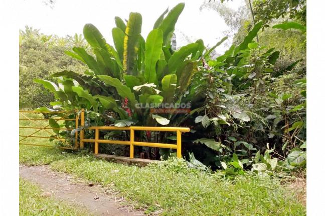 Fincas y Casas Campestres, Venta, Montenegro - $2.200.000.000