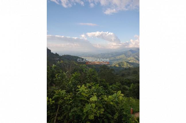 Fincas y Casas Campestres, Venta, Caicedonia - $380.000.000