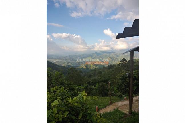 Fincas y Casas Campestres, Venta, Caicedonia - $380.000.000