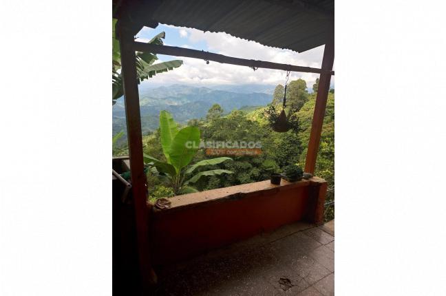 Fincas y Casas Campestres, Venta, Caicedonia - $380.000.000