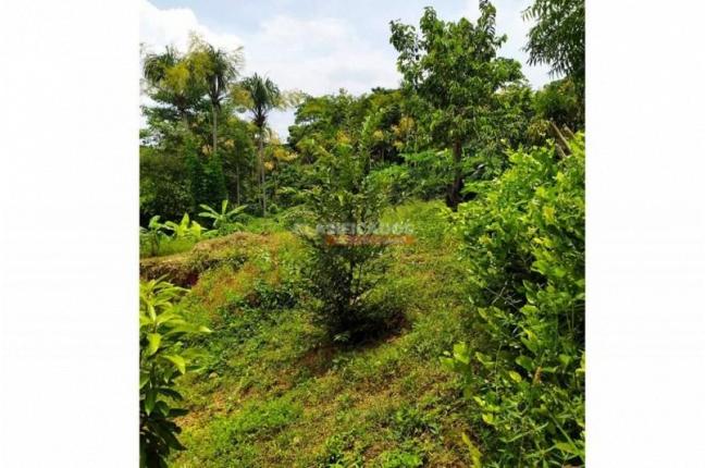 Lotes, Venta en Tubara