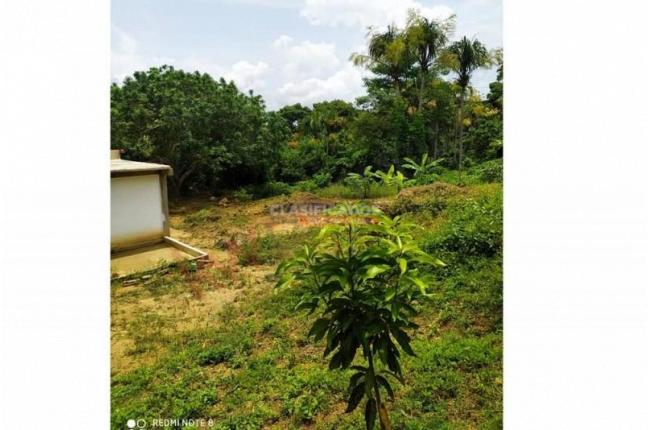 Lotes, Venta, Tubara - $270.000.000