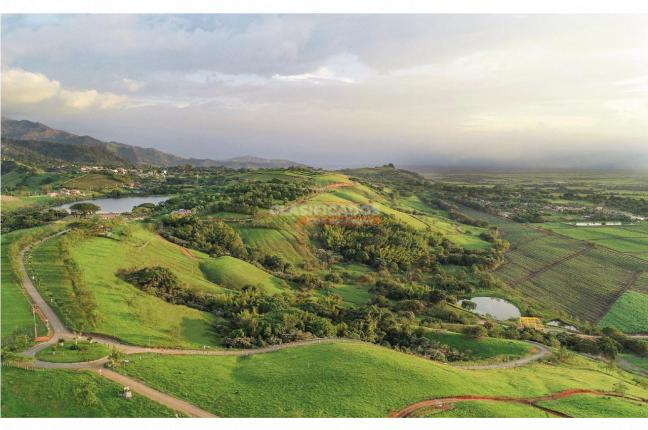 Lotes, Venta en Palmira