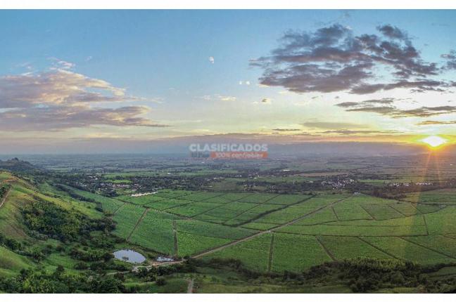 Lotes, Venta en Palmira