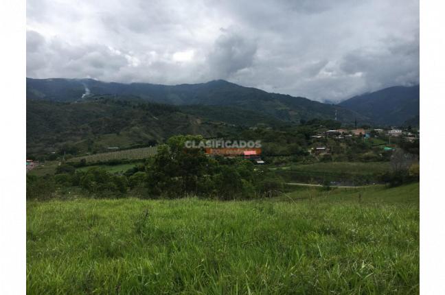 Lotes, Venta en Palmira