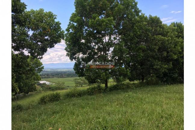 Lotes, Venta, Palmira - $600.000.000