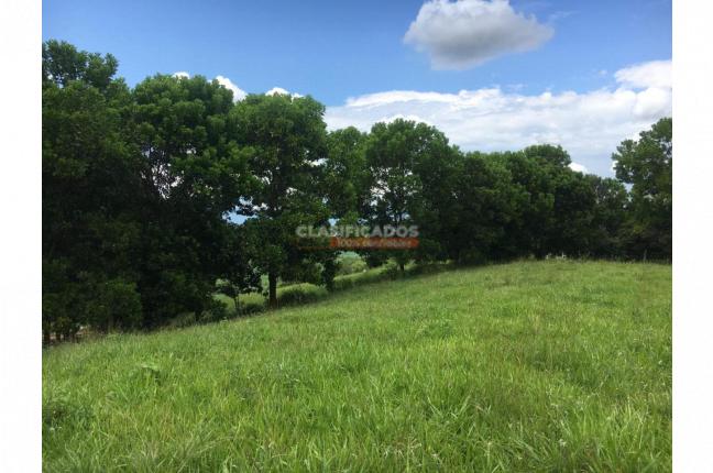 Lotes, Venta, Palmira - $600.000.000