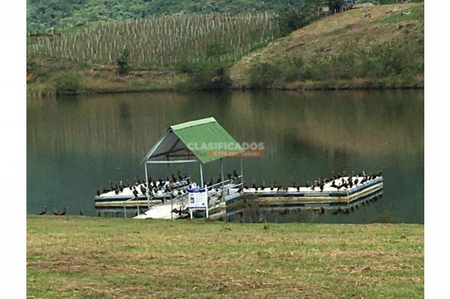 Lotes, Venta, Palmira - $600.000.000