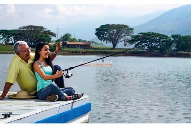 Lotes, Venta, Palmira - $600.000.000