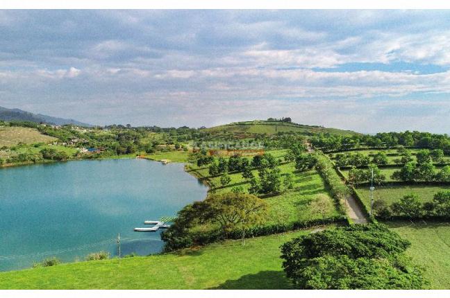 Lotes, Venta, Palmira - $600.000.000