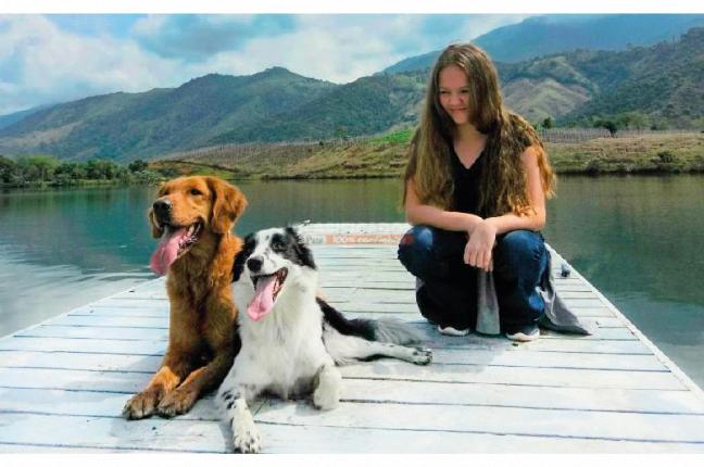 Lotes, Venta, Palmira - $600.000.000