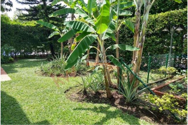 Casas, Venta, Jamundí - $820.000.000