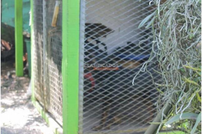 Lotes, Venta, Pance - $5.400.000.000