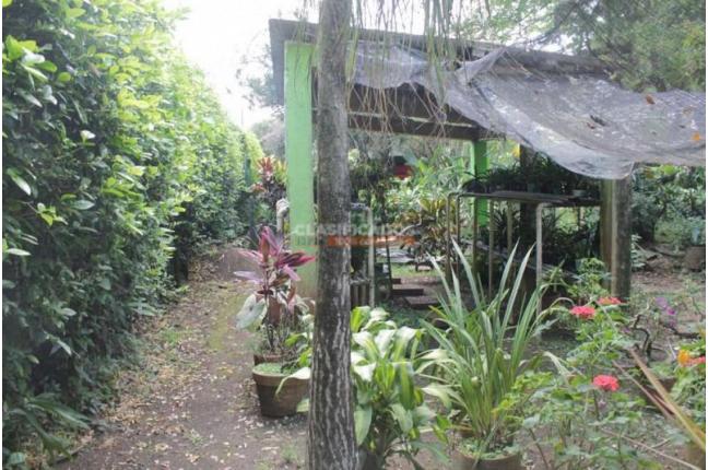 Lotes, Venta, Pance - $5.400.000.000