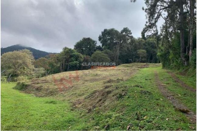 Lotes, Venta, Dagua - $400.000.000