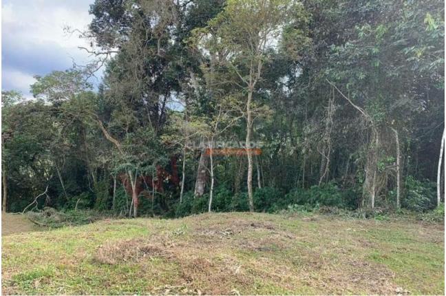 Lotes, Venta, Dagua - $400.000.000