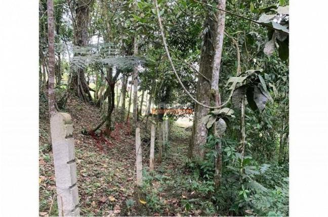 Lotes, Venta, Dagua - $400.000.000