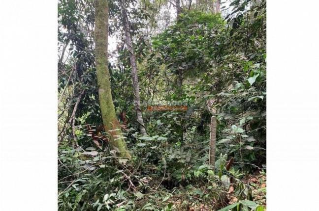 Lotes, Venta, Dagua - $400.000.000