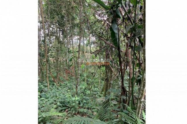 Lotes, Venta, Dagua - $400.000.000